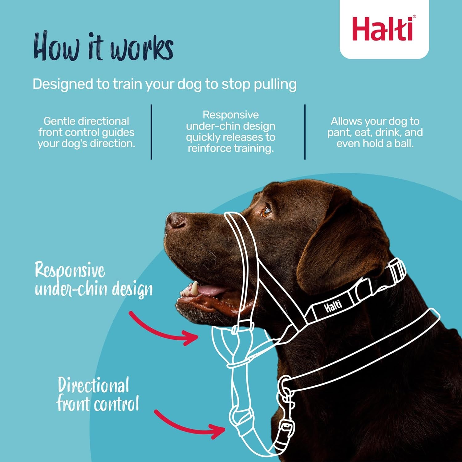 Company of Animals  Head Collar for Dogs, Size 3, Black