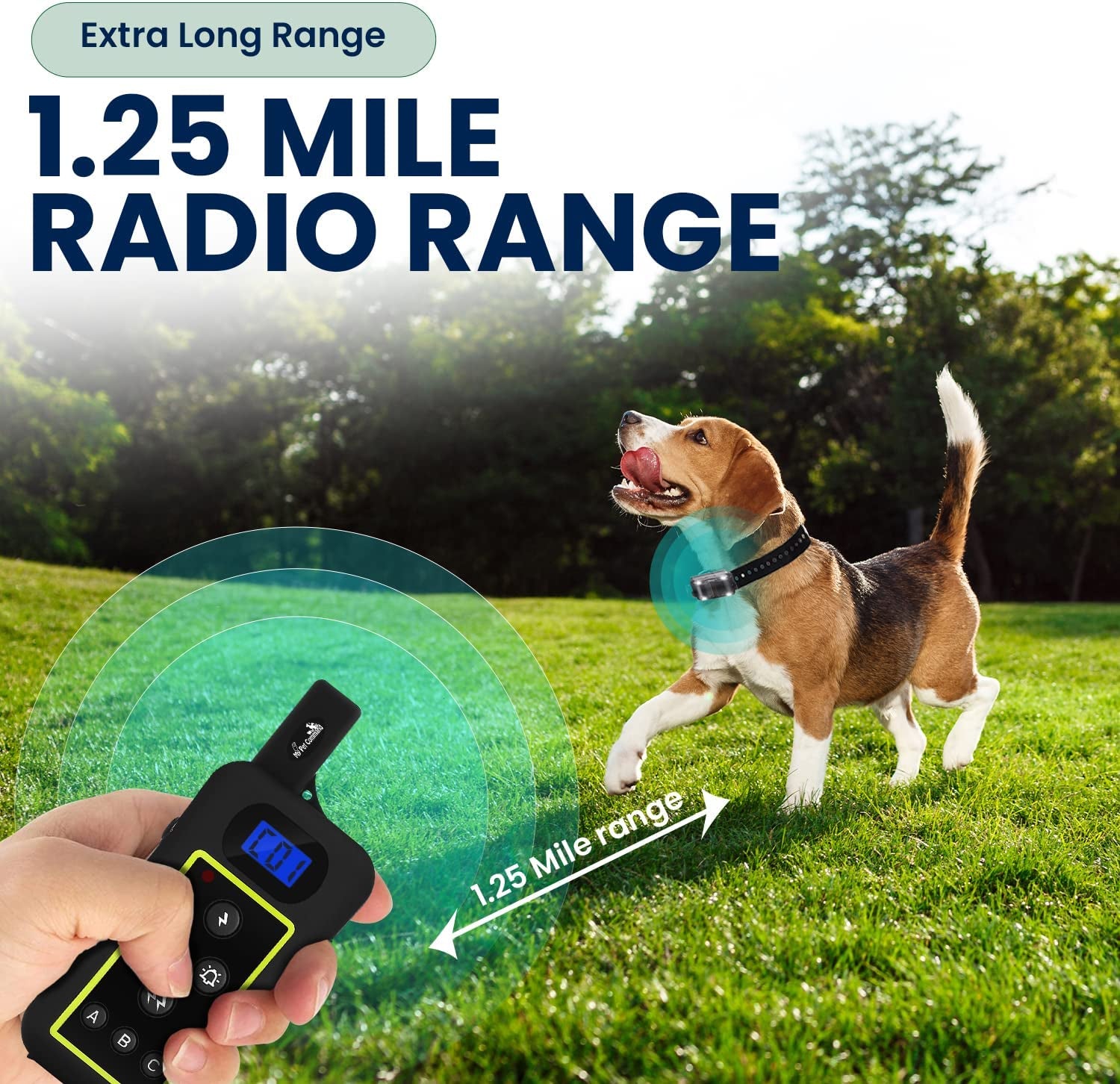 2KM (1.25 Mile/6600 Ft) Long Range Dog Training Collar Safe Shock Collar with Remote Shock,Vibrate,Tone, Flashing Beacon Lights Waterproof Rechargeable Dog Hunting Add up to 3 Collars