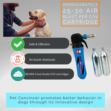 Canine Innovations , Dog Training Device