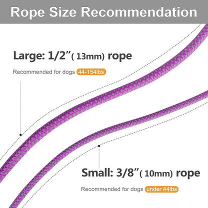 Durable Slip Lead Dog Leash, 6 FT X 3/8" Heavy Duty Comfortable Strong Rope Slip Lead for Small Dogs and Puppies, No Pull Pet Training Leash with Highly Reflective(3/8", Purple)