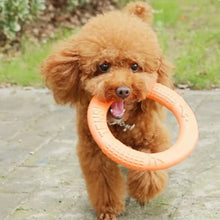 1Pc Orange Dog Toys Pet Flying Disk Training Ring Puller EVA Interactive Training Ring Puller Resistant for Dogs