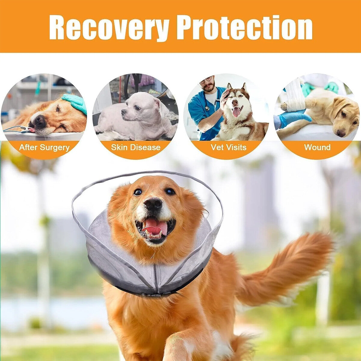 Pet Inflatable Recovery Collar Protective Medical Wound Healing Cone Fordogscats